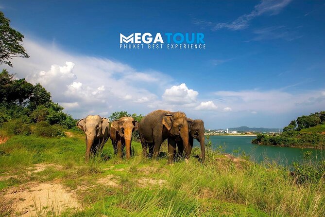 Phuket Best: City Tour & Elephant Park Experience - Inclusions