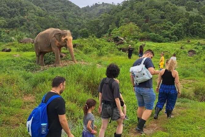 Phuket Best: City Tour & Elephant Park Experience - Meeting and Pickup