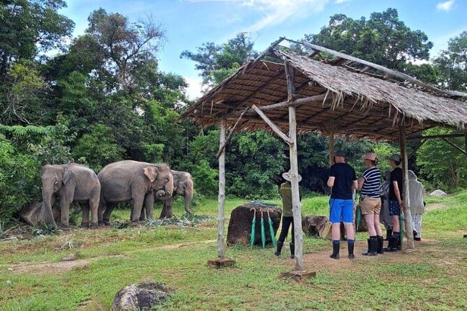 Phuket Best: City Tour & Elephant Park Experience - Common Questions