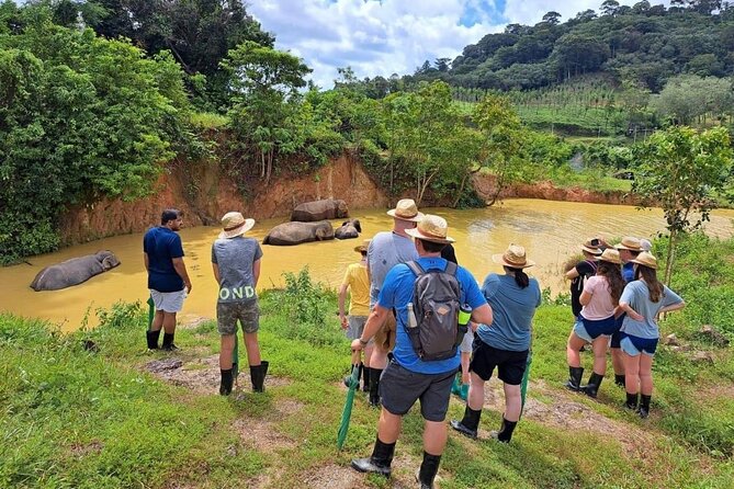 Phuket Best: City Tour & Elephant Park Experience - The Sum Up