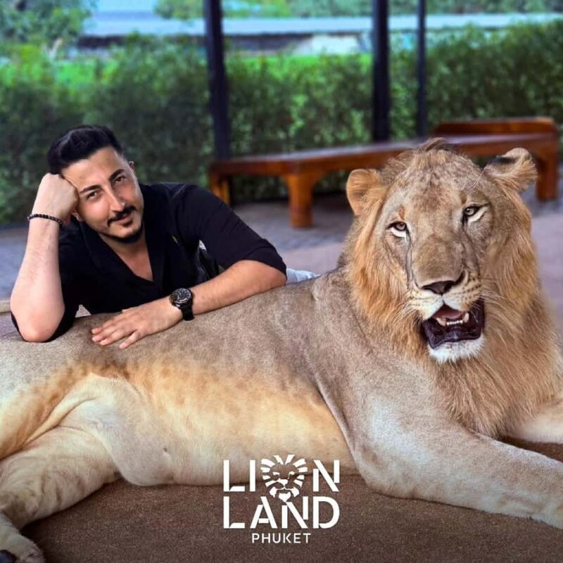 Phuket Big Buddha city tour + Lion and ATV + Tour guide(ENG) - What to Expect from the Tour