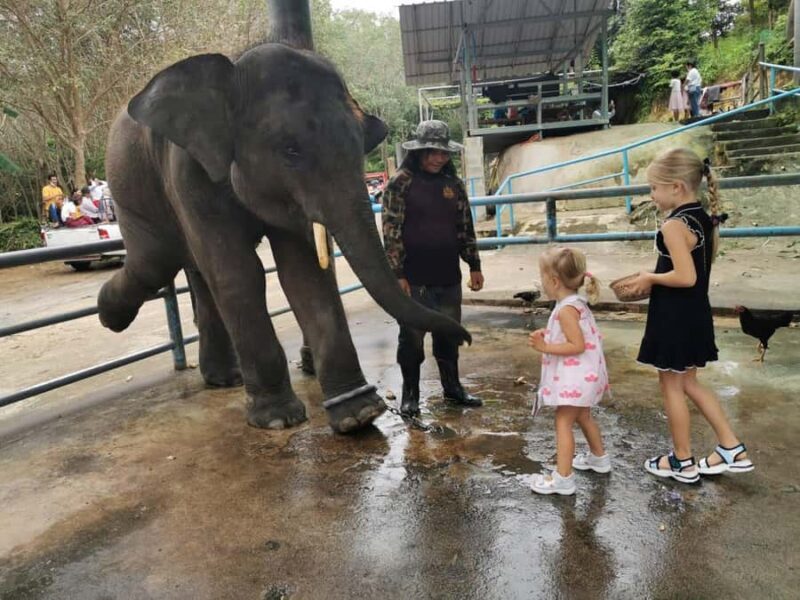 Phuket Big Buddha city tour + Lion Land with tour guide(ENG) - FAQ