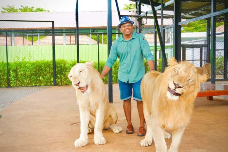 Phuket Big Buddha city tour + Lion Land with tour guide(ENG) - Who Is This Tour Best For?