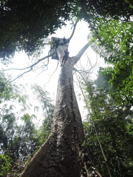Phuket: Big Buddha Viewpoint ATV Tour and Zipline Adventure - Customer Feedback and Ratings