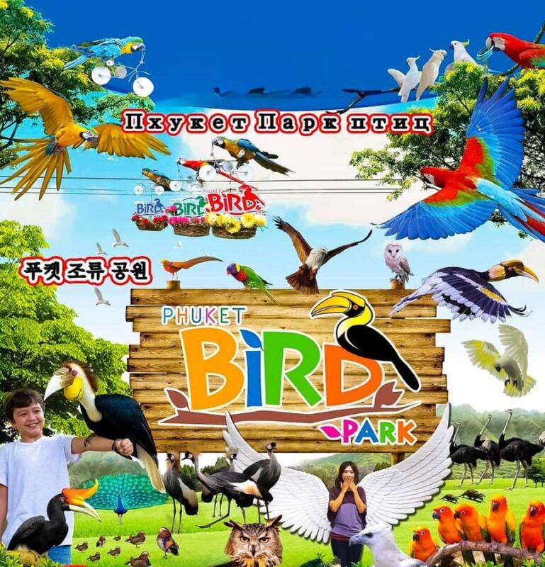 Phuket: Bird Park, Elephant Feeding, ATV Ride & City Tour - Who Will Love This Tour?