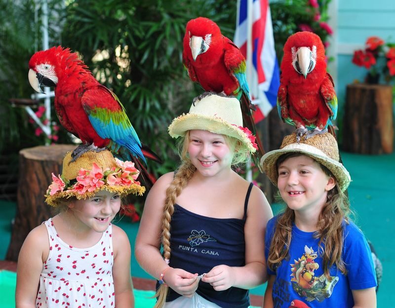 Phuket Bird Park Ticket - The bird show gives the visit its shape