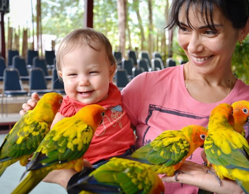 Phuket Bird Park Ticket - A garden setting, with a compact route