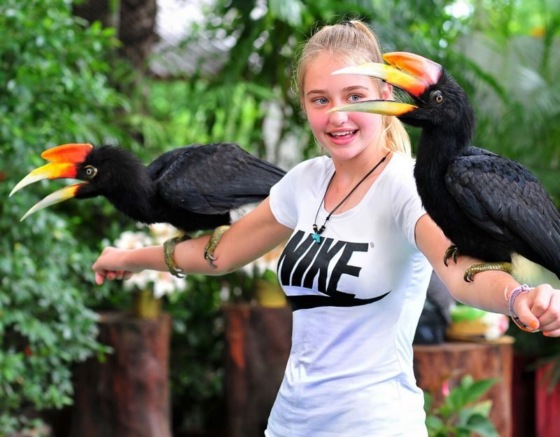 Phuket Bird Park Ticket - Is the ticket worth about $10.45?