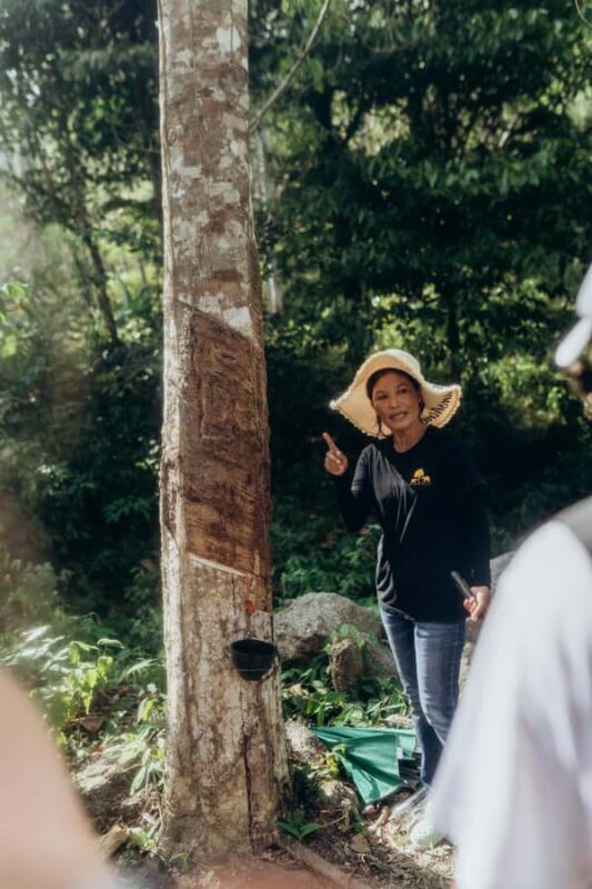 Phuket: Bukit Elephant Park Sanctuary Tour with Lunch - Who Is This Tour Best For?