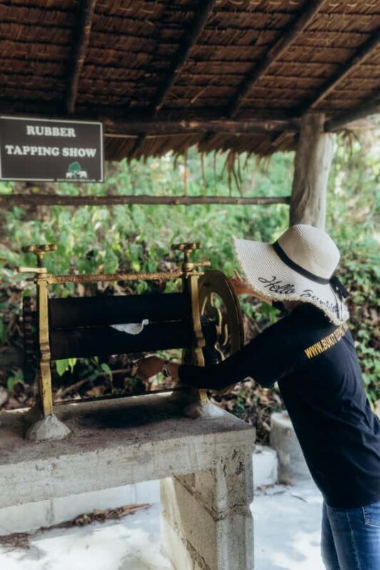 Phuket: Bukit Elephant Park Sanctuary Tour with Lunch - FAQs