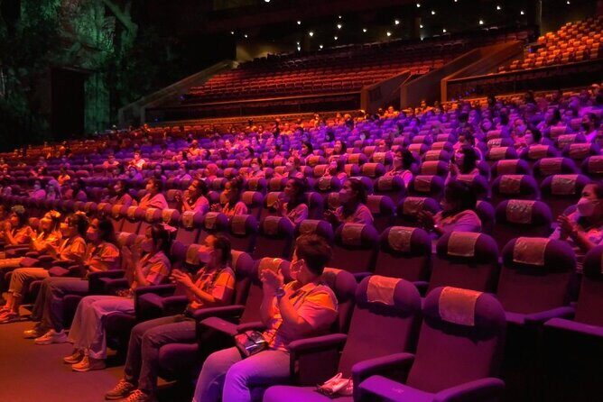 Phuket Carnival Magic Tickets with Optional Buffet Dinner - Practical Details: Transportation, Timing, and Value