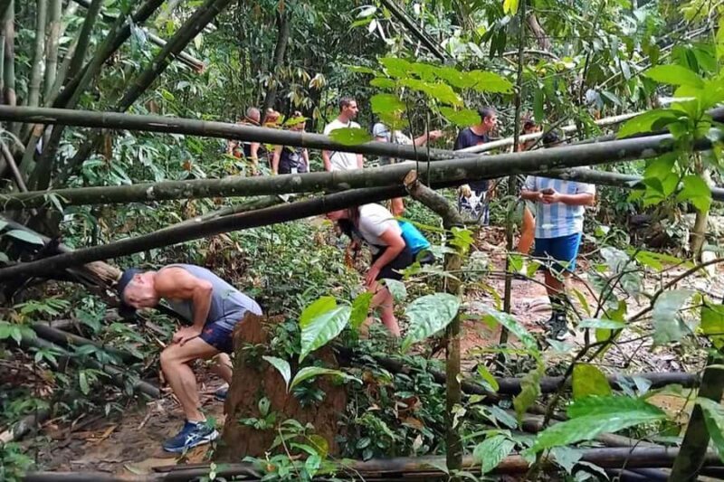 Phuket: Cheow Lan Lake, Diamond Cave, Hiking, All Included - Final Thoughts