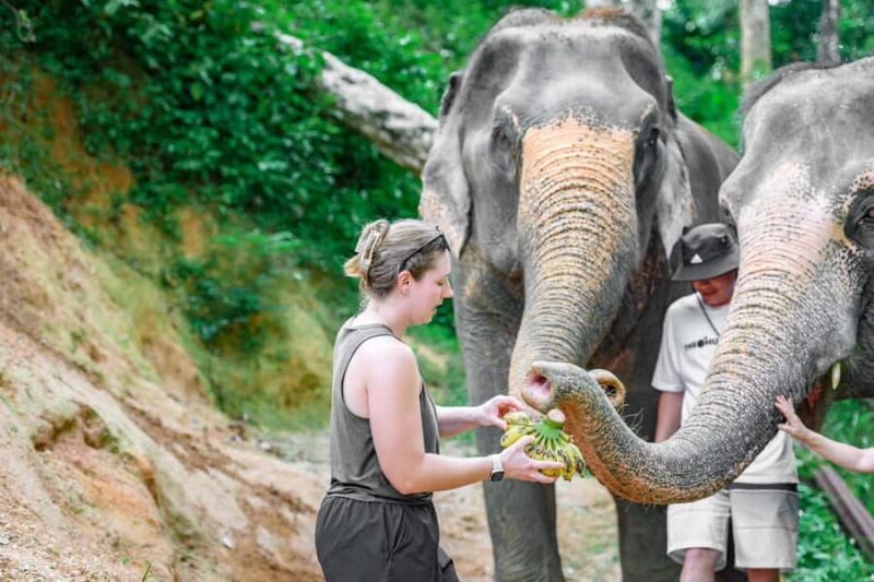 Phuket: ChillVa Market ATV Ride & Feeding Elephant Sanctuary - An Honest Breakdown of the Tour