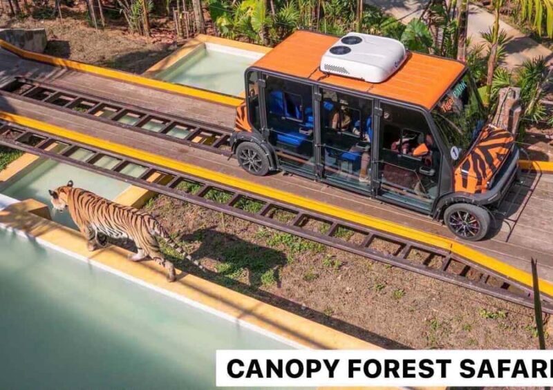 Phuket: ChillVa Market ATV Ride & Feeding Elephant Sanctuary - Final Thoughts