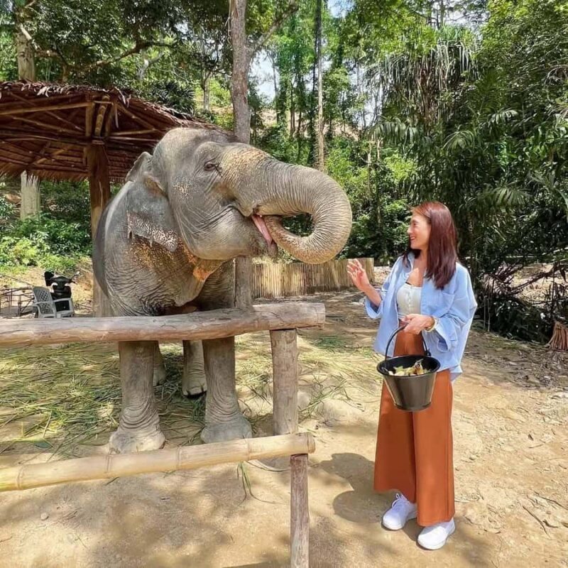 Phuket: ChillVa Market ATV Ride & Feeding Elephant Sanctuary - FAQ