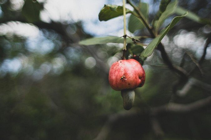 Phuket City Tour Sightseeing and Night Market Everyday - Who Should Consider This Tour?