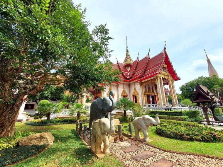 Phuket City Tour With ATV Adventure and Elephant Feeding - ATV Adventure