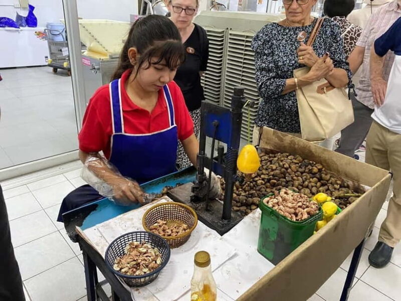 Phuket City Tour with Night Market Visit & Elephant Feeding - Scenic Viewpoints That Take Your Breath Away