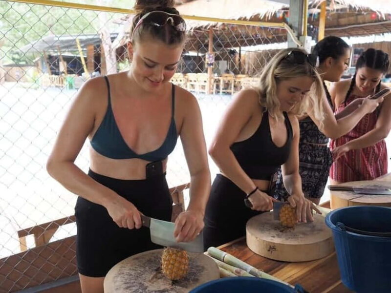 Phuket City Tour with Night Market Visit & Elephant Feeding - Mountain Views and Playful Monkeys