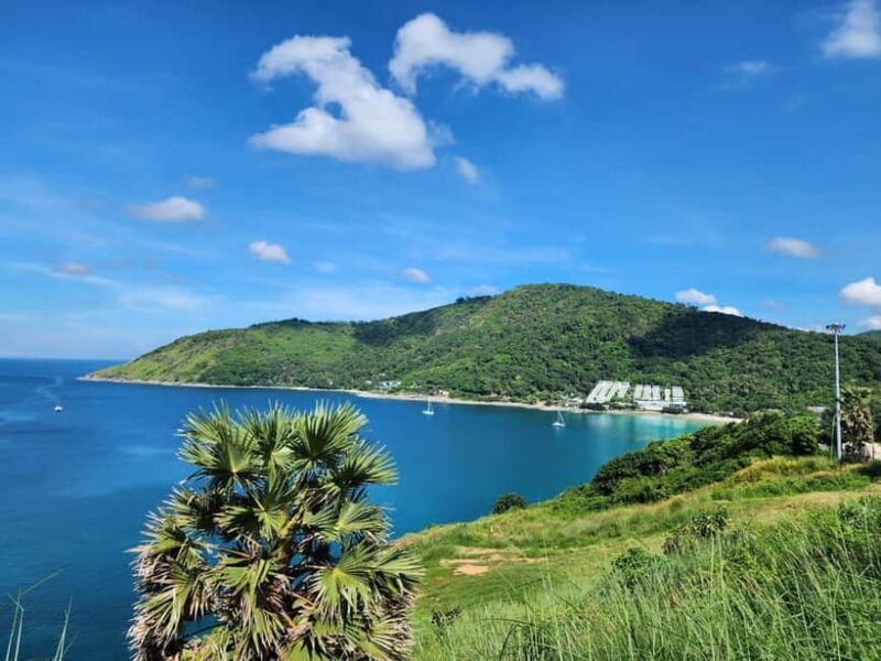 Phuket City Tour with Night Market Visit & Elephant Feeding - The Sum Up