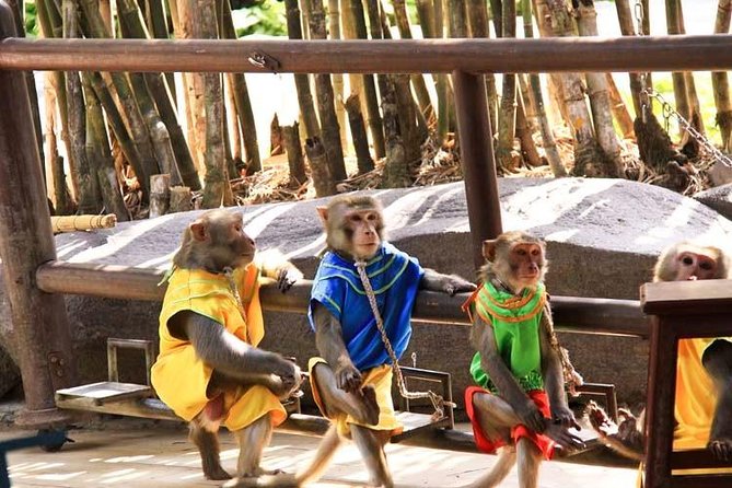 Phuket City Tours - Cancellation Policy