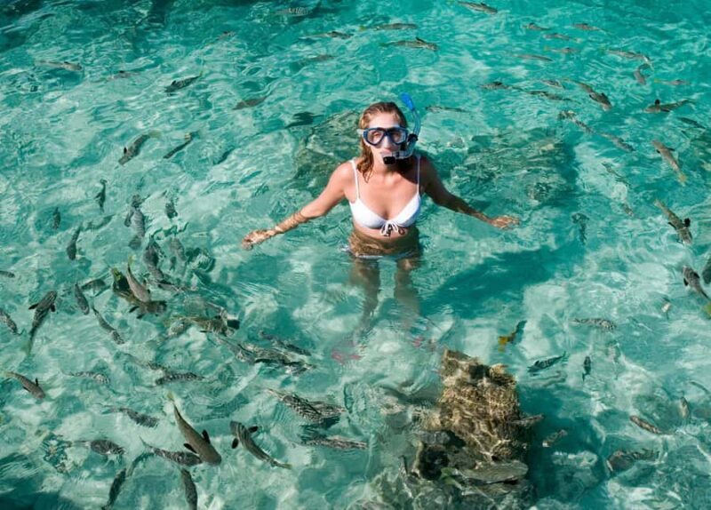 Phuket: Coral Island "Lazy Day" Speedboat Tour - The Sum Up