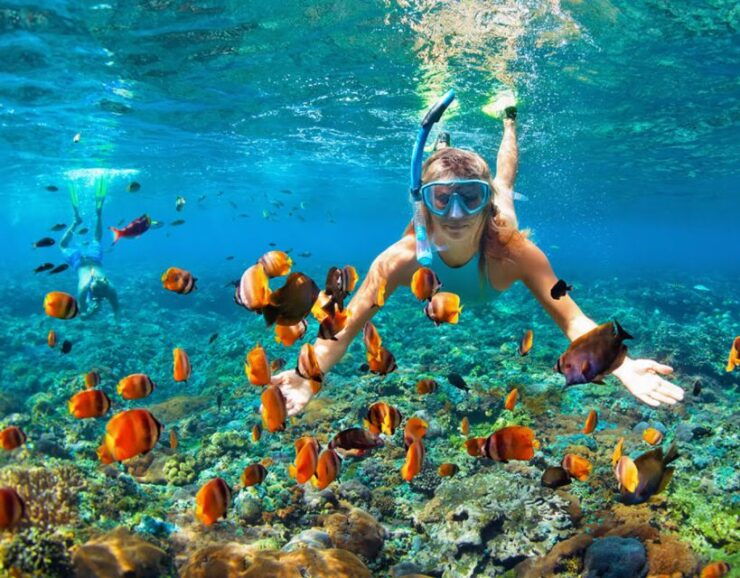 Phuket Coral Island Snorkeling Adventure (Private Speedboat) - Tour Highlights