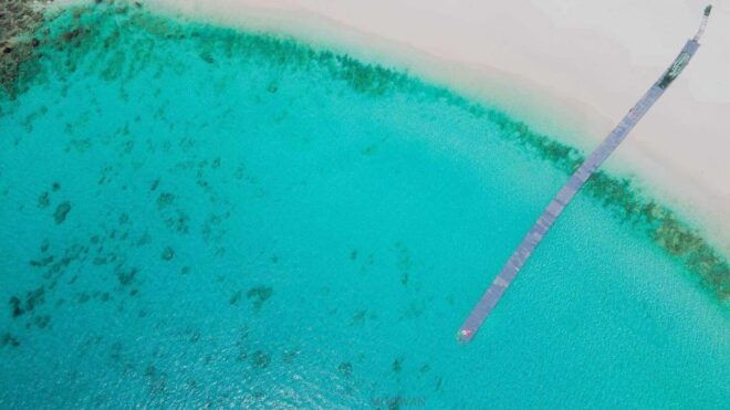 Phuket: Coral & Racha Islands Day Trip By Speedboat - Snorkeling Experience