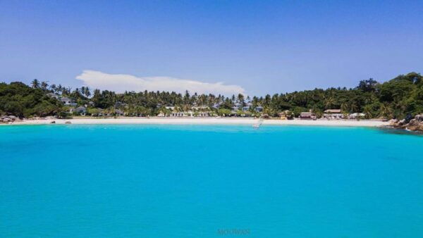 Phuket: Coral & Racha Islands Day Trip By Speedboat - Duration and Availability