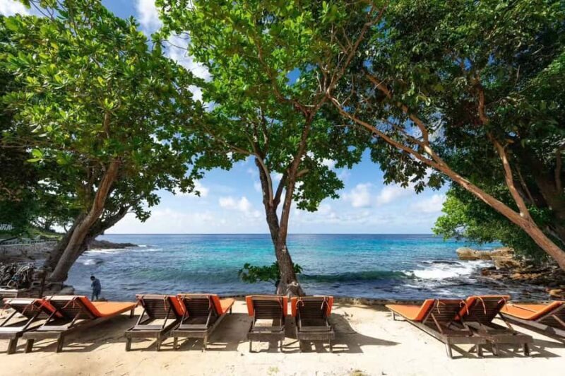 Phuket: Coral & Racha Islands Speedboat Day Trip with Lunch - Who This Tour Is Best For