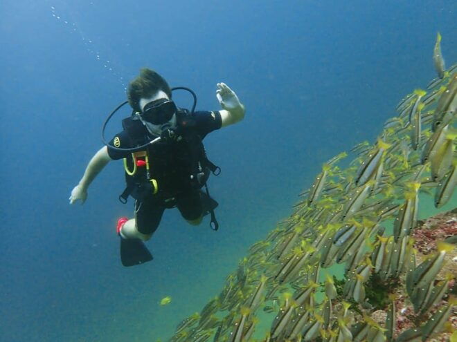 Phuket: Discover Scuba Diving 2 Dives Racha Yai FREE PHOTOS - Customer Feedback