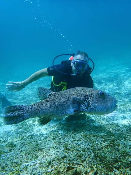 Phuket: Discover Scuba Diving 2 Dives Racha Yai FREE PHOTOS - Questions You May Have