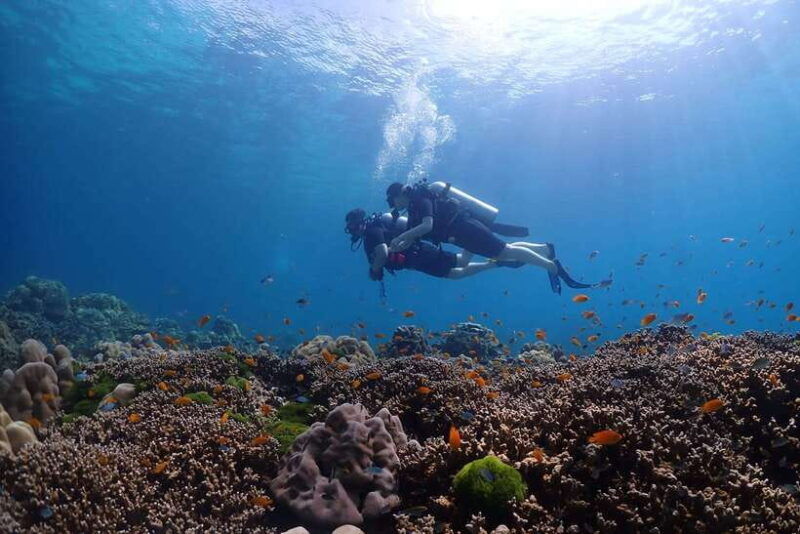 Phuket: Discover Scuba Diving to Racha Yai Island - Good To Know