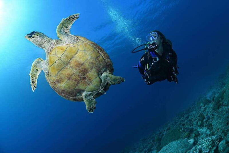Phuket: Discover Scuba Diving to Racha Yai Island - Transportation and Pickup Details