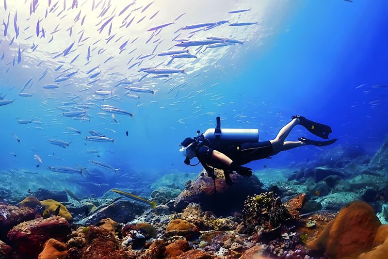 Phuket Dive Trip Racha Island(s) For All-level in Phuket - The morning starts at Chalong Pier