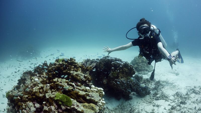 Phuket Easy Scuba with PADI 5 Star Center - A gentle first step into Phuket’s underwater world