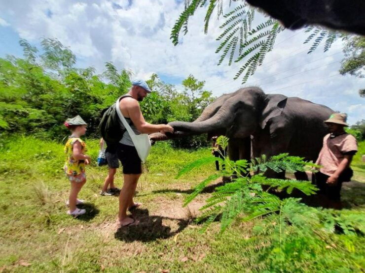 Phuket: Eco Guide Walking With Ethical Elephant Sanctuary - Activity Details