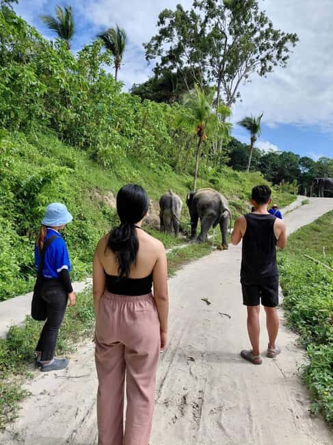 Phuket: Eco Guided Tour at Elephant Sanctuary - Phuket: Eco Guided Tour at Elephant Sanctuary