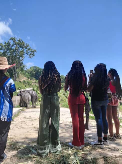 Phuket: Eco Guided Tour at Elephant Sanctuary - An Honest Look at the Phuket Elephant Sanctuary Guided Tour