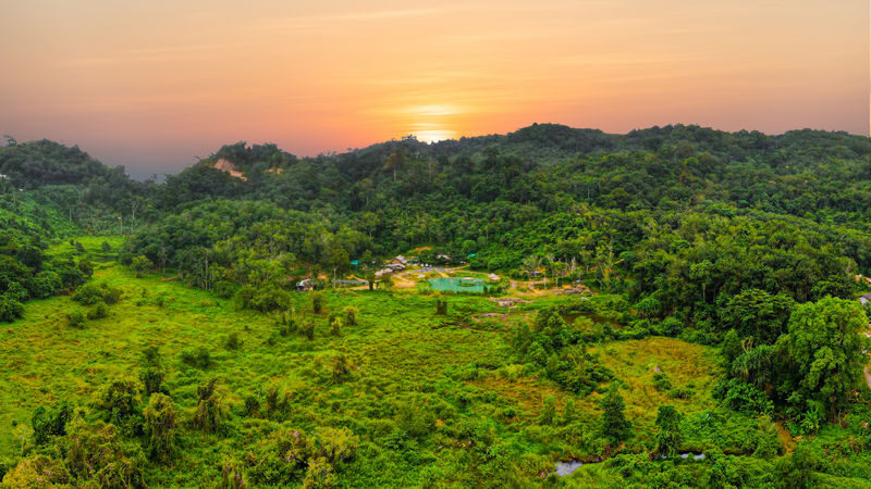 Phuket Elephant Care: Your Responsible & Authentic Welfare Programs - Choosing between feeding, spa, and half-day