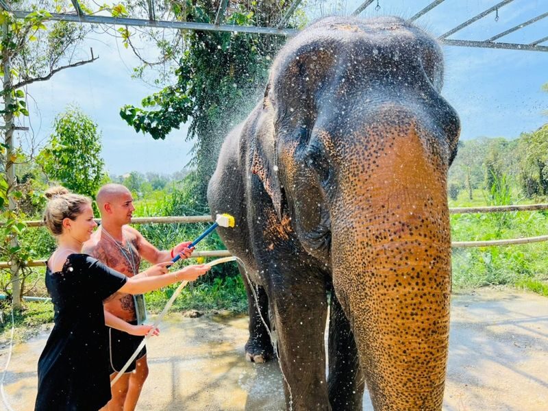 Phuket Elephant Care: Your Responsible & Authentic Welfare Programs - Children, safety, and small practical details