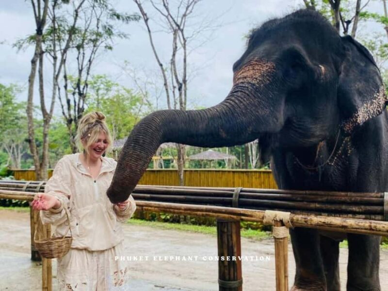 Phuket Elephant Conservation: Half-Day I Cooking Class I DIY - FAQs  