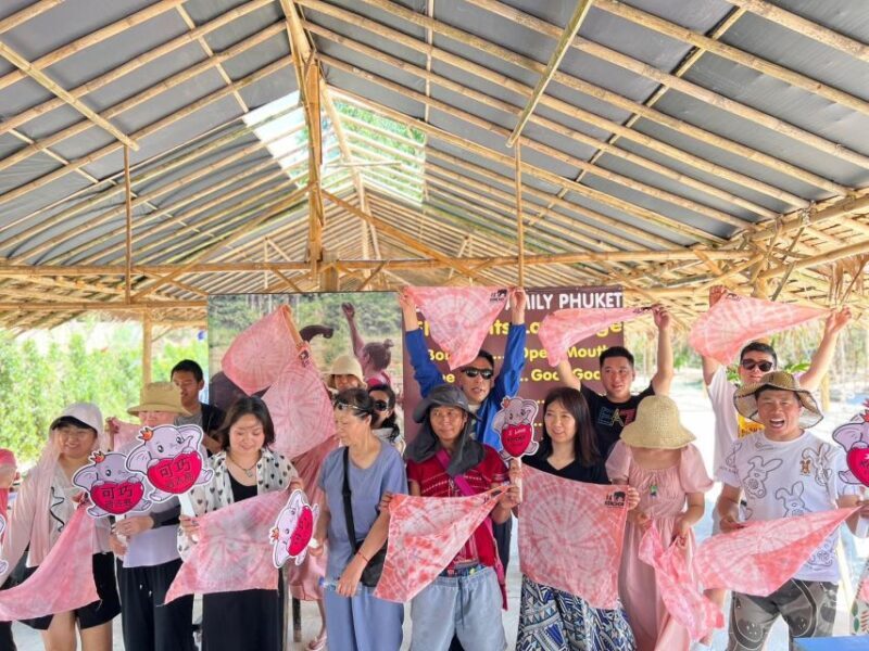 Phuket: Elephant Experience with Lunch or Dinner and Pickup - What We Love & What to Consider