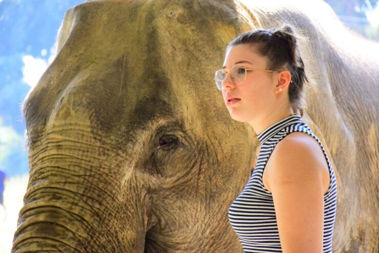 Phuket: Elephant Feeding Program - Activity Details