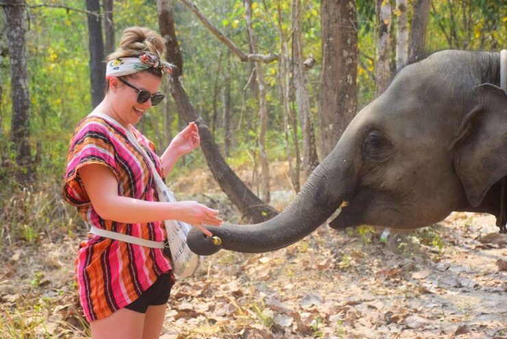 Phuket: Elephant Feeding Program - Experience Highlights