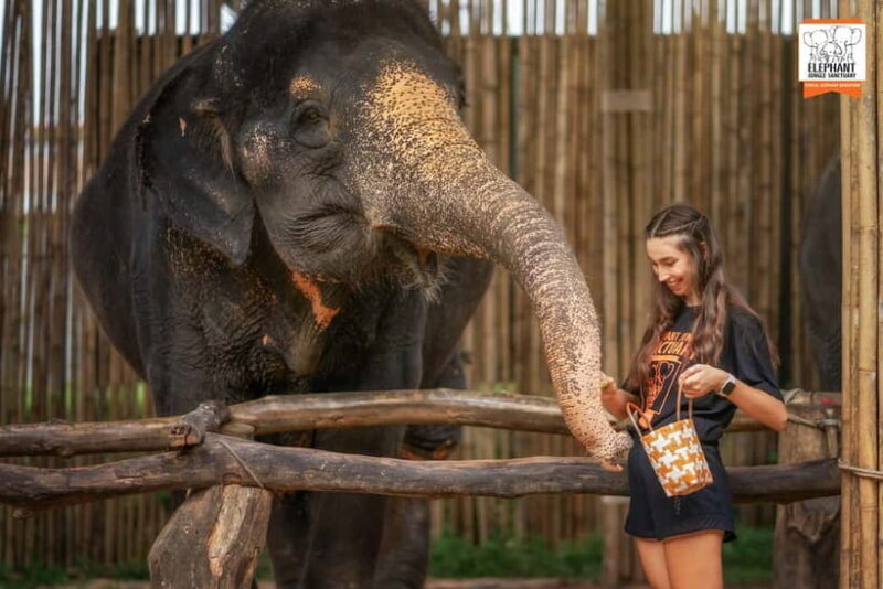 Phuket: Elephant Jungle Sanctuary Ethical Feeding Experience - Practical Details & Tips