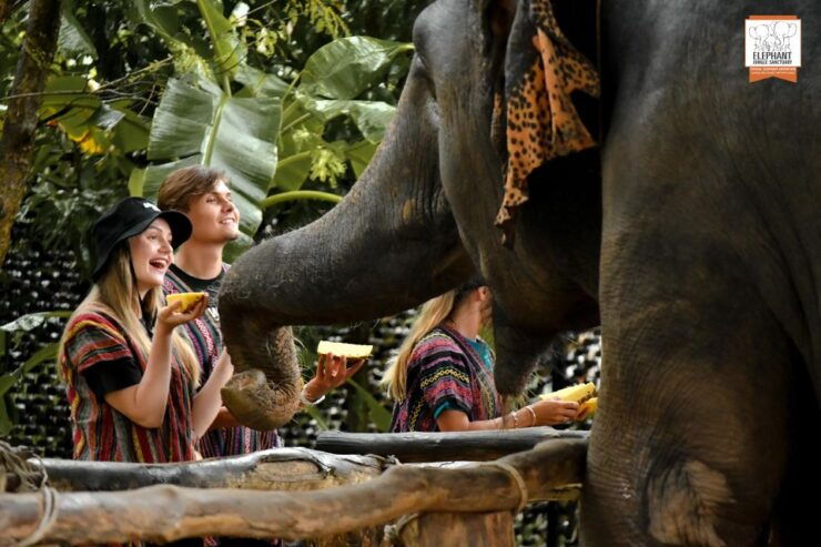Phuket: Elephant Jungle Sanctuary Ethical Feeding Experience - Experience Details