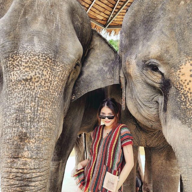Phuket: Elephant Jungle Sanctuary Half-Day Visit With Meal - Booking Details