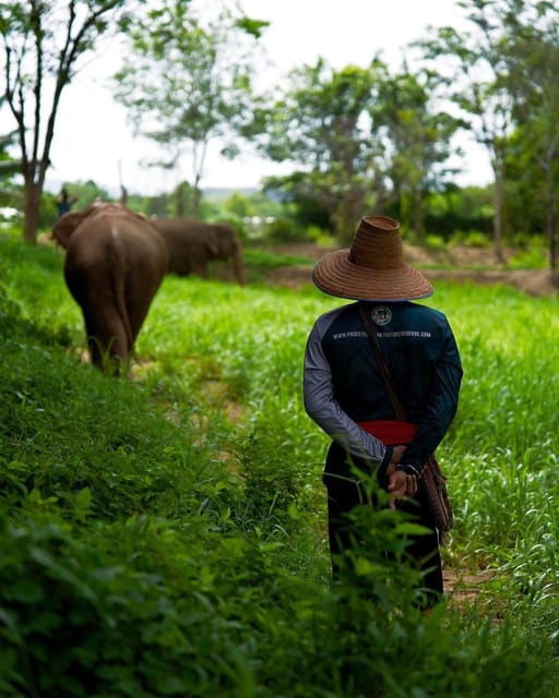 Phuket: Elephant Nature Reserve Entry Ticket and Guided Tour - Ethical Experience