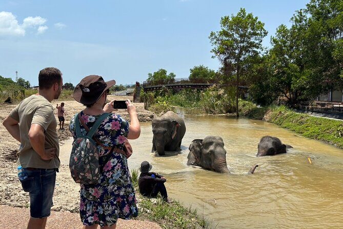 Phuket: Elephant Nature Walk - Guided Tour with Transport - What Reviewers Say